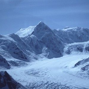 Meet your Posher, Robbie